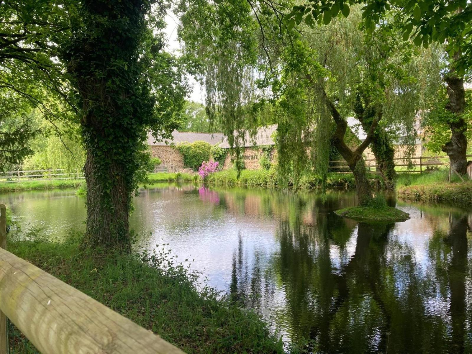 La Demeure Romantique Bazouges-sous-Hede Exteriér fotografie