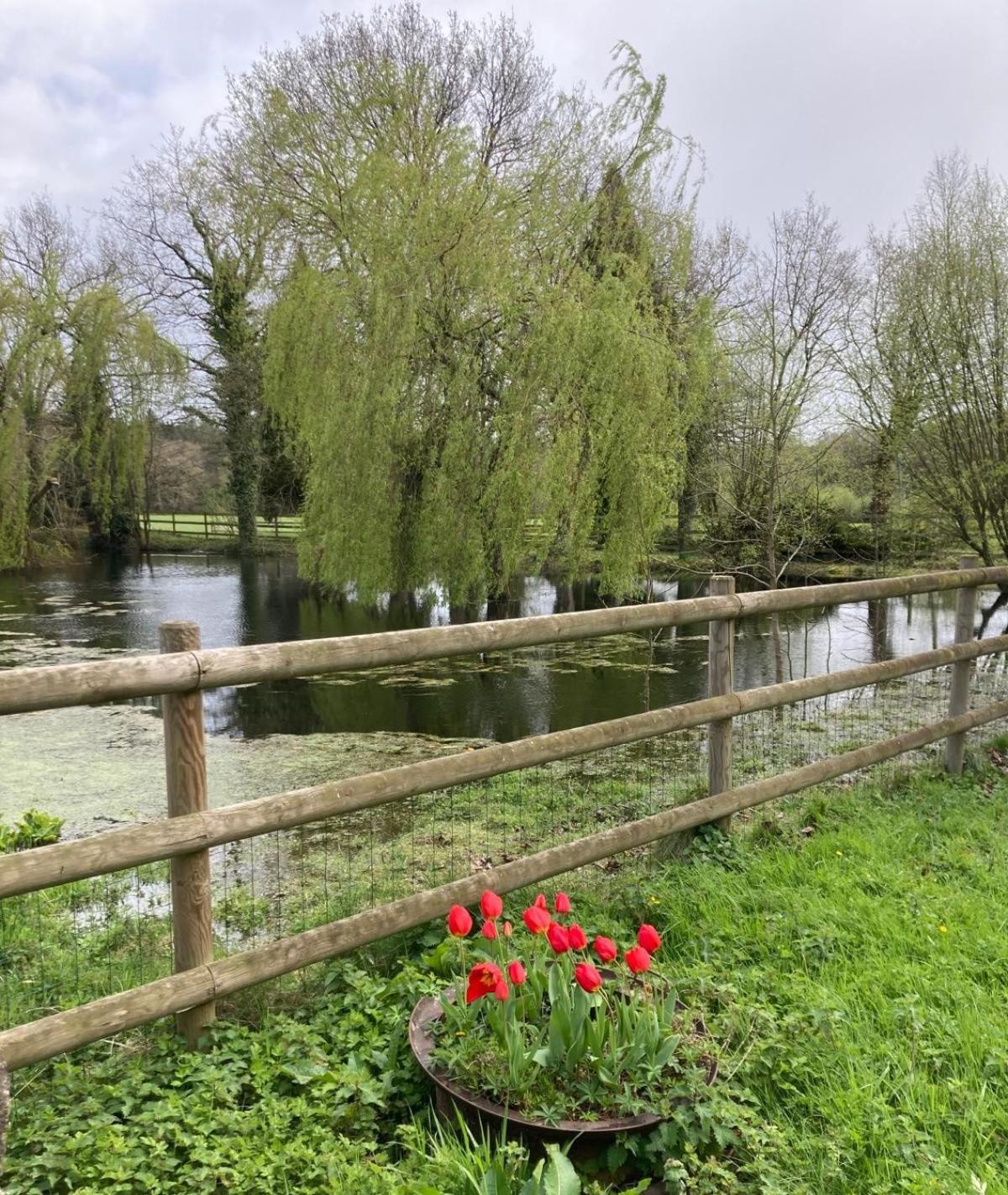 La Demeure Romantique Bazouges-sous-Hede Exteriér fotografie